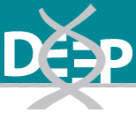 DEEP Logo